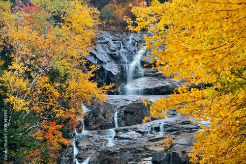 Colorful Autumn creek
