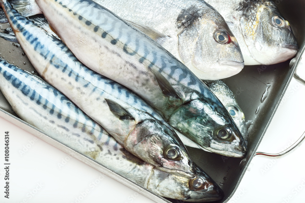 Obraz premium Fresh fish Dorado and Mackerel on white background