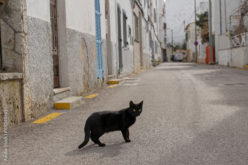 black cat on the street of mediterranean town