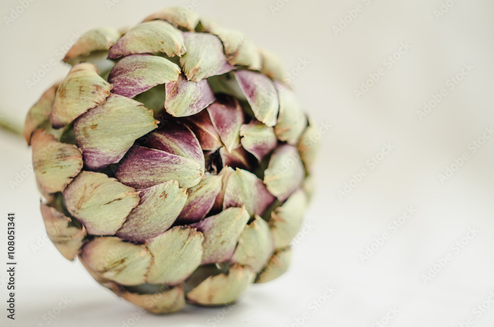 Obraz premium single ripe organic beige artichoke on white background. soft rustic style. selected focus.