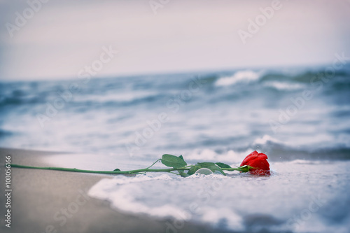 Fototapeta Naklejka Na Ścianę i Meble -  Waves washing away a red rose from the beach. Vintage. Love