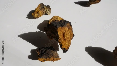 Slow Motion of Chaga Mushroom Chunk Falling on White Background photo