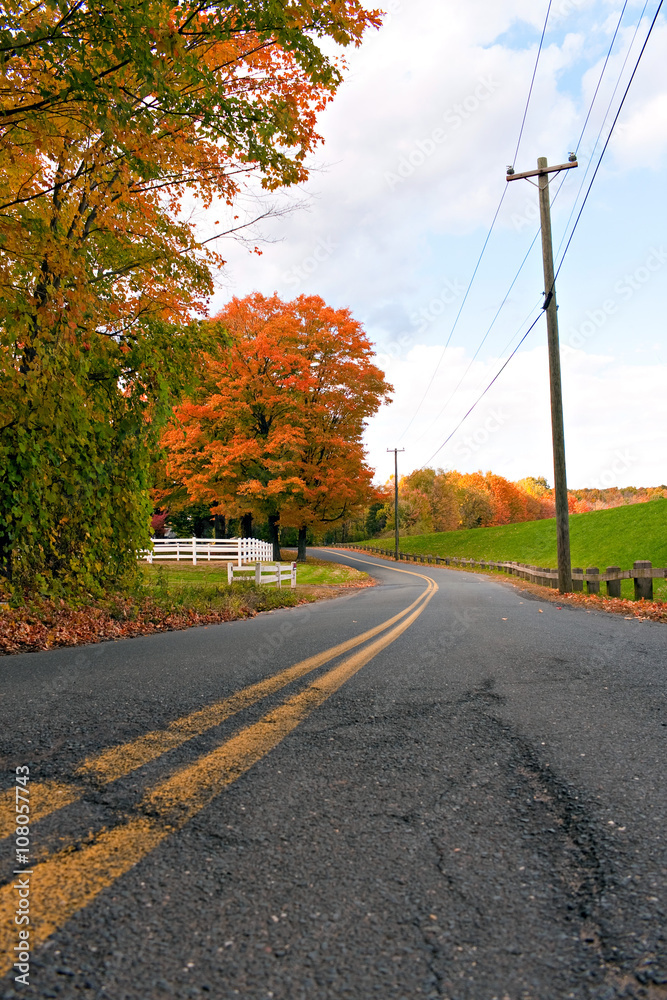 Vibrant Fall Foliage Road