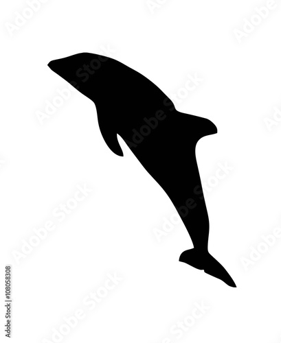 dolphin silhouette