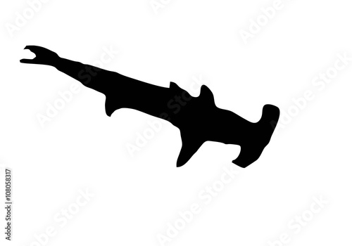 hammerhead silhouette