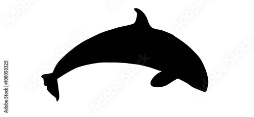 Killer Whales silhouette
