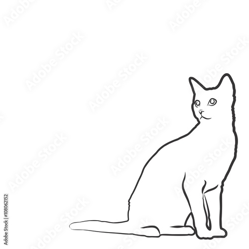 Sketch of domestic cat.