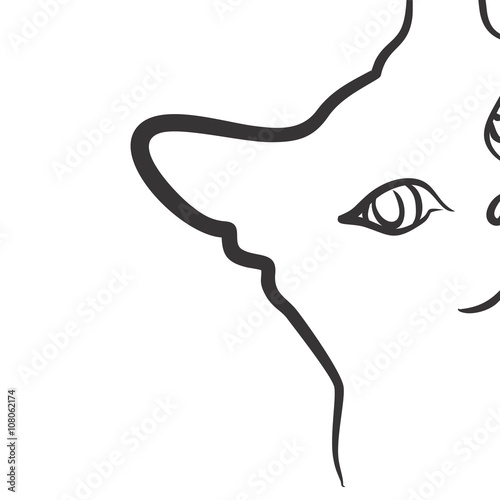 Sketch of domestic cat.