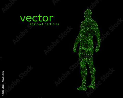 Vector illustration of human body