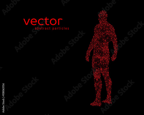 Vector illustration of human body