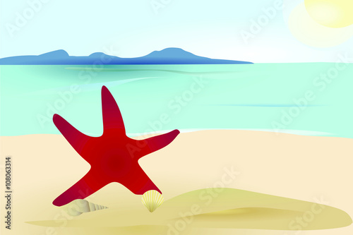 sea star on island