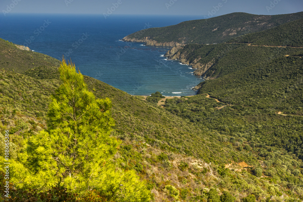 Fototapeta premium Mamba Beach Ampelos, Chalkidiki, Sithonia, Central Macedonia, Greece