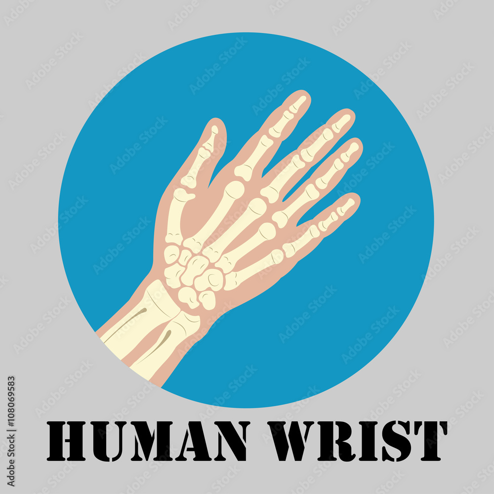 Human wrist emblem Human wrist emblem