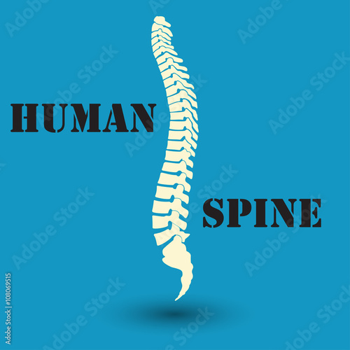 silhouette of a human spine