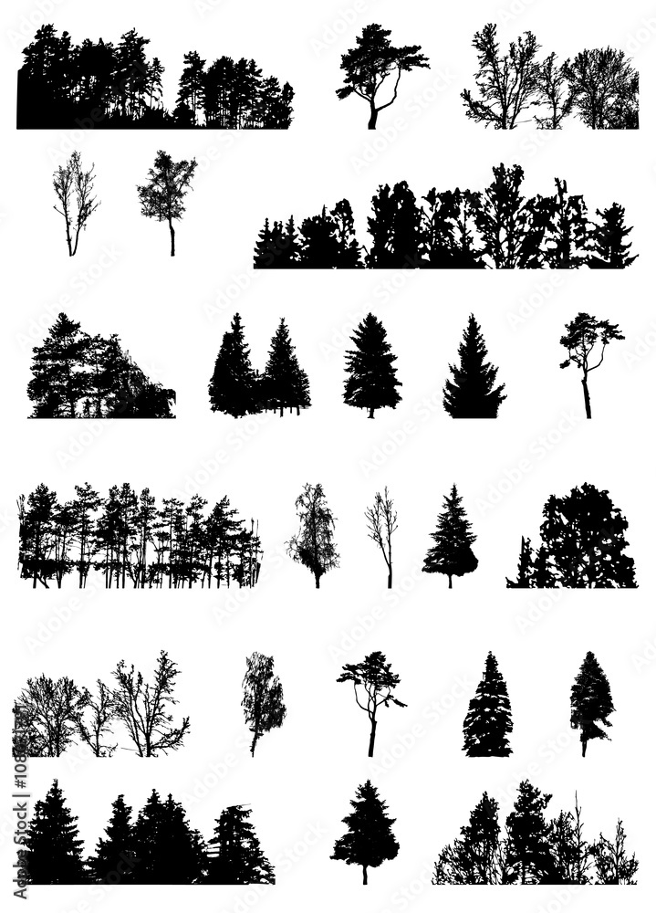 Plakat Set of Tree Silhouette Isolated on White Backgorund. Vecrtor Ill