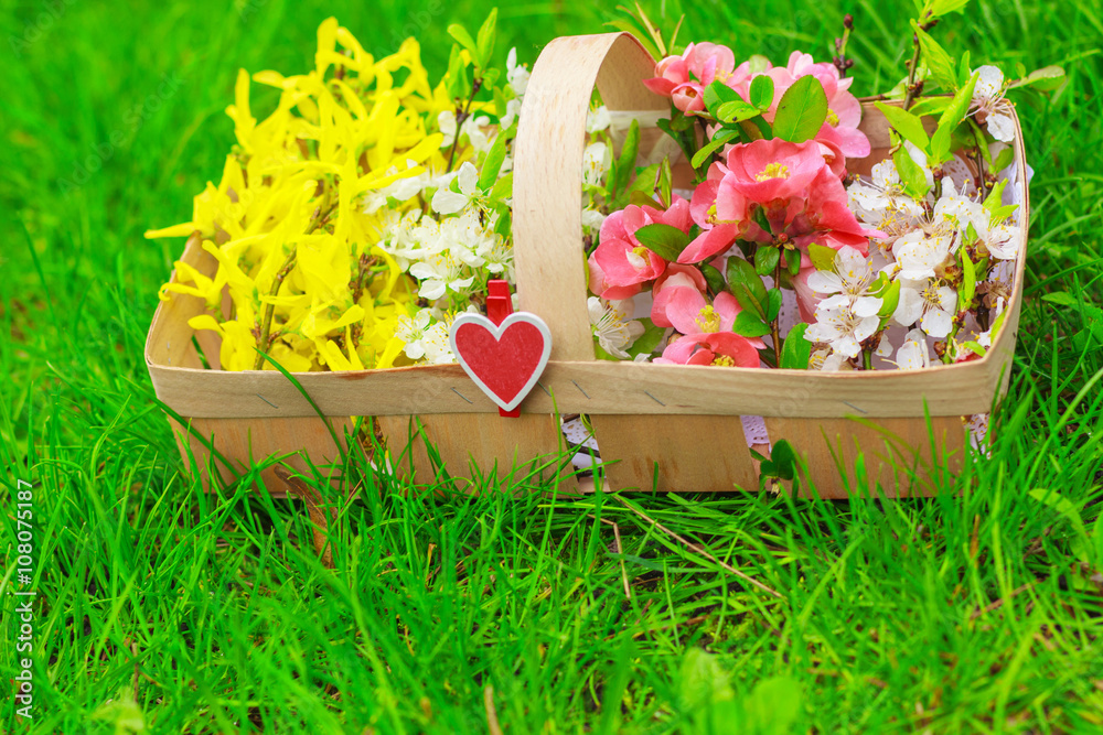 basket with beautiful spring flowers - obrazy, fototapety, plakaty 
