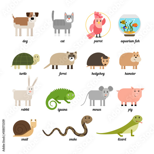 Nice set of different colored pets