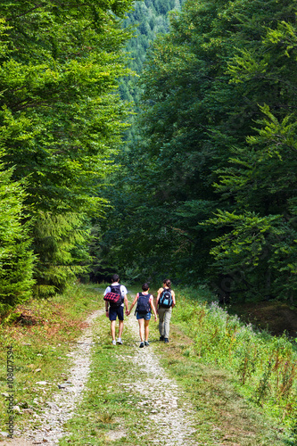 Hikers on the road entering in a mountain forest