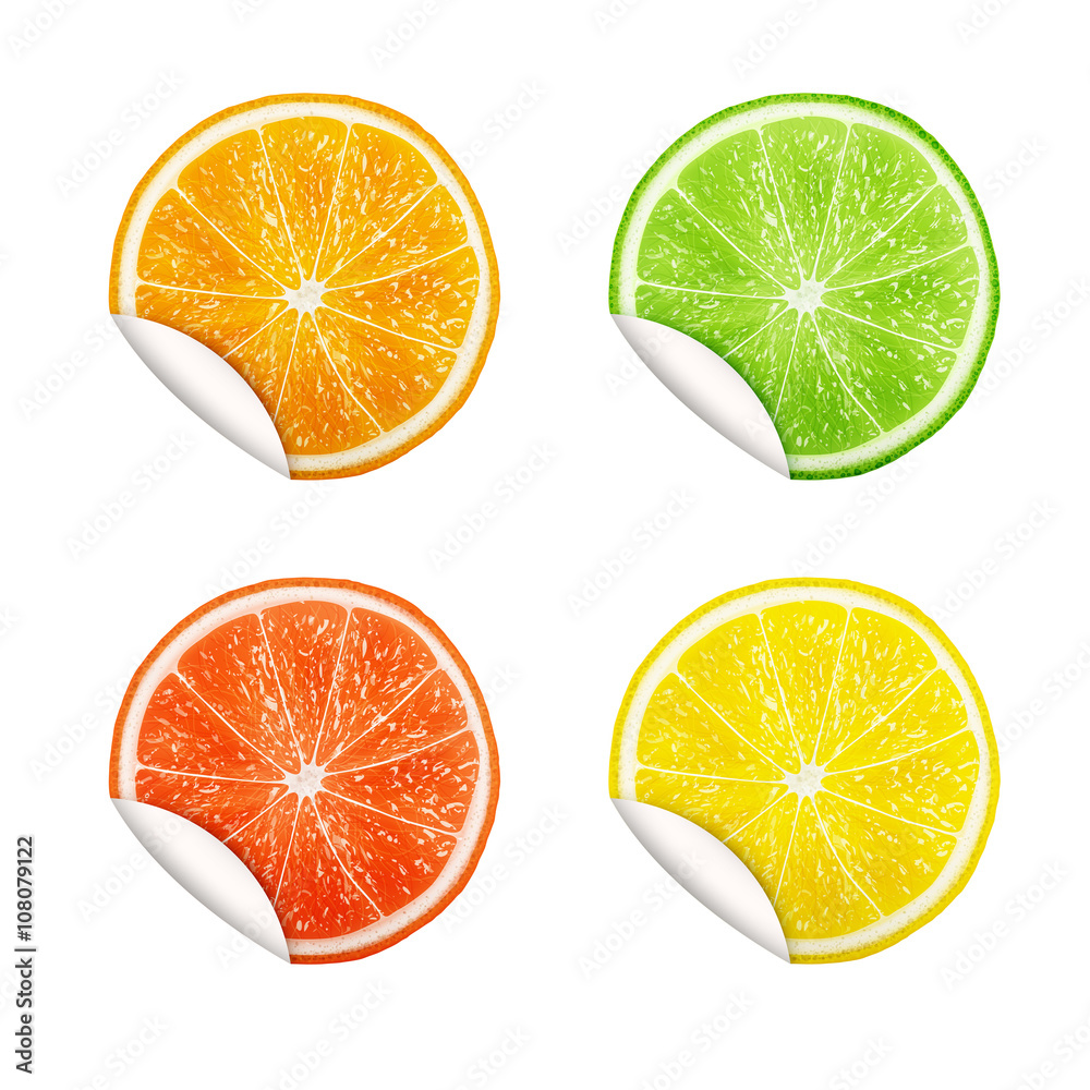 Obraz premium Set of citrus fruits. Orange, Lime, Grapefruit, Lemon.