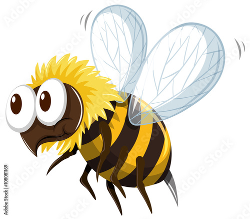 Little bee flying on white background