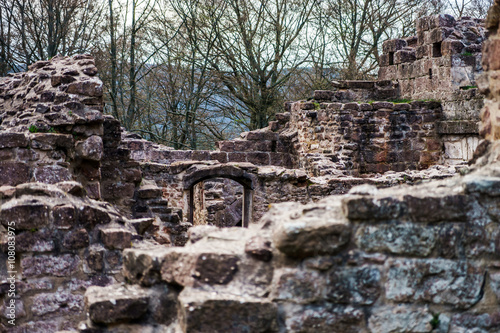 Ruins of medieval castle Wangenbourg on the top of hill, Alsace, photo