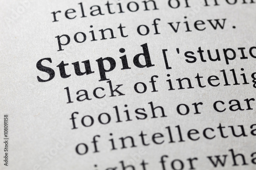 definition of stupid