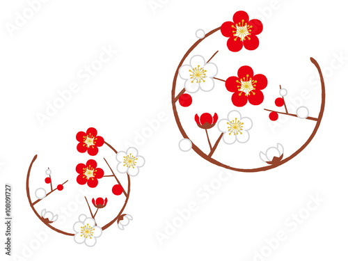 circle with plum blossom