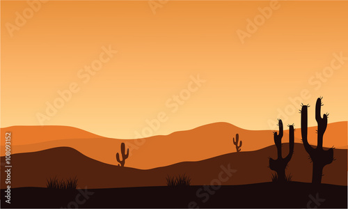 desert cactus silhouette and sunrise