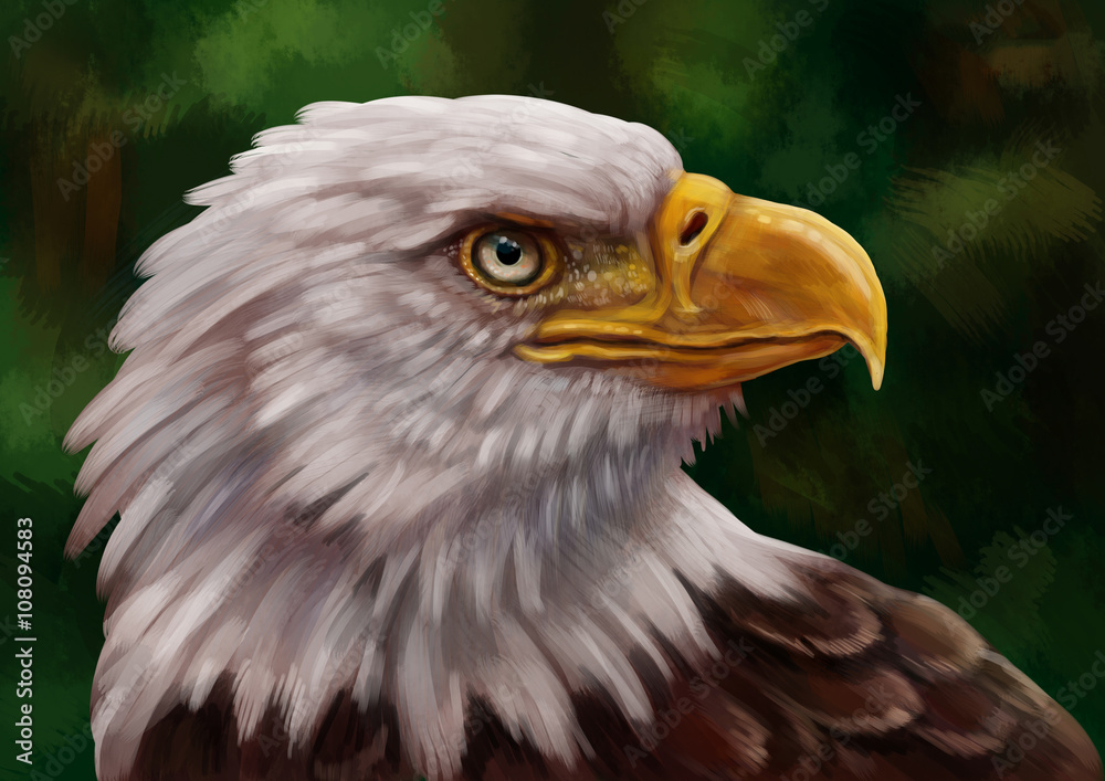 Obraz premium Orzeł