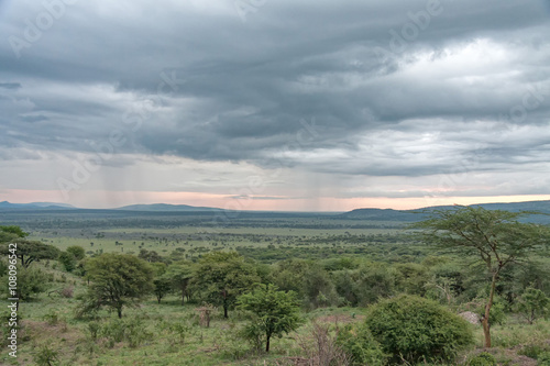 Savanna plain at dawn against storm cloud sky background. Serengeti National Park, Tanzania, Africa. 
