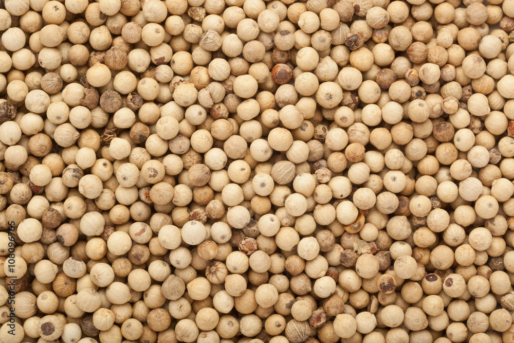 White peppercorn White peppercorn