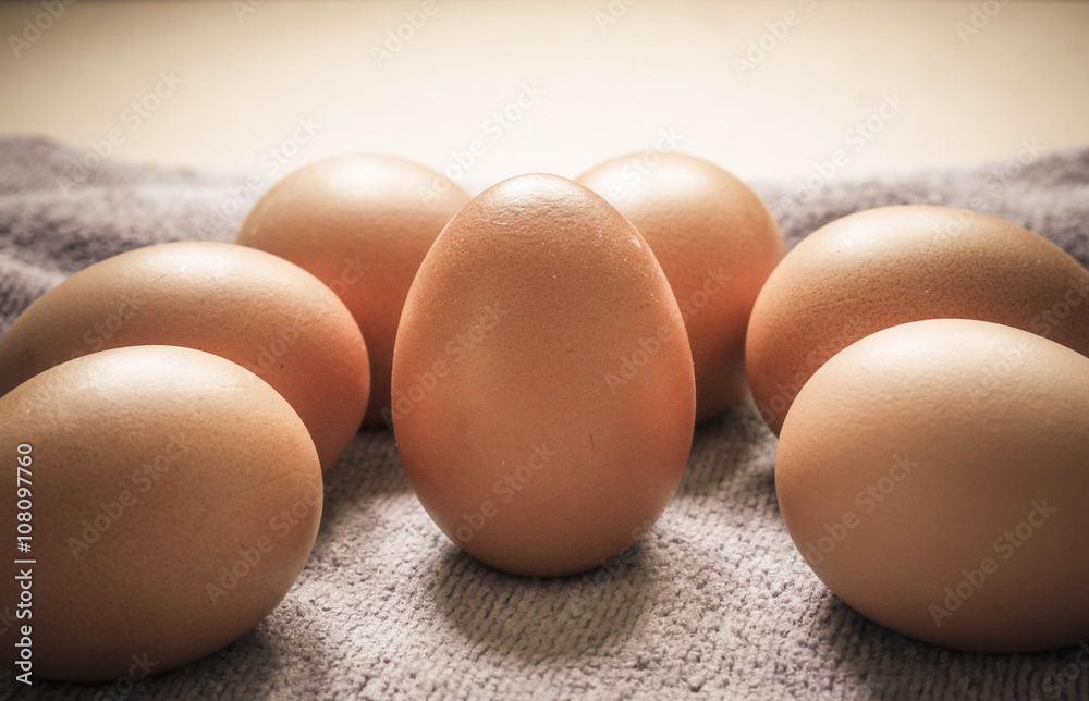 Eggs Eggs
