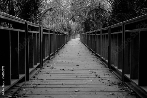 The wooden bridge in black and white
