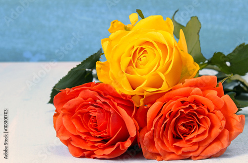 Three Roses on a blue background with copy space.