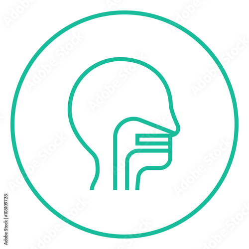 Human head with ear, nose, throat system line icon.