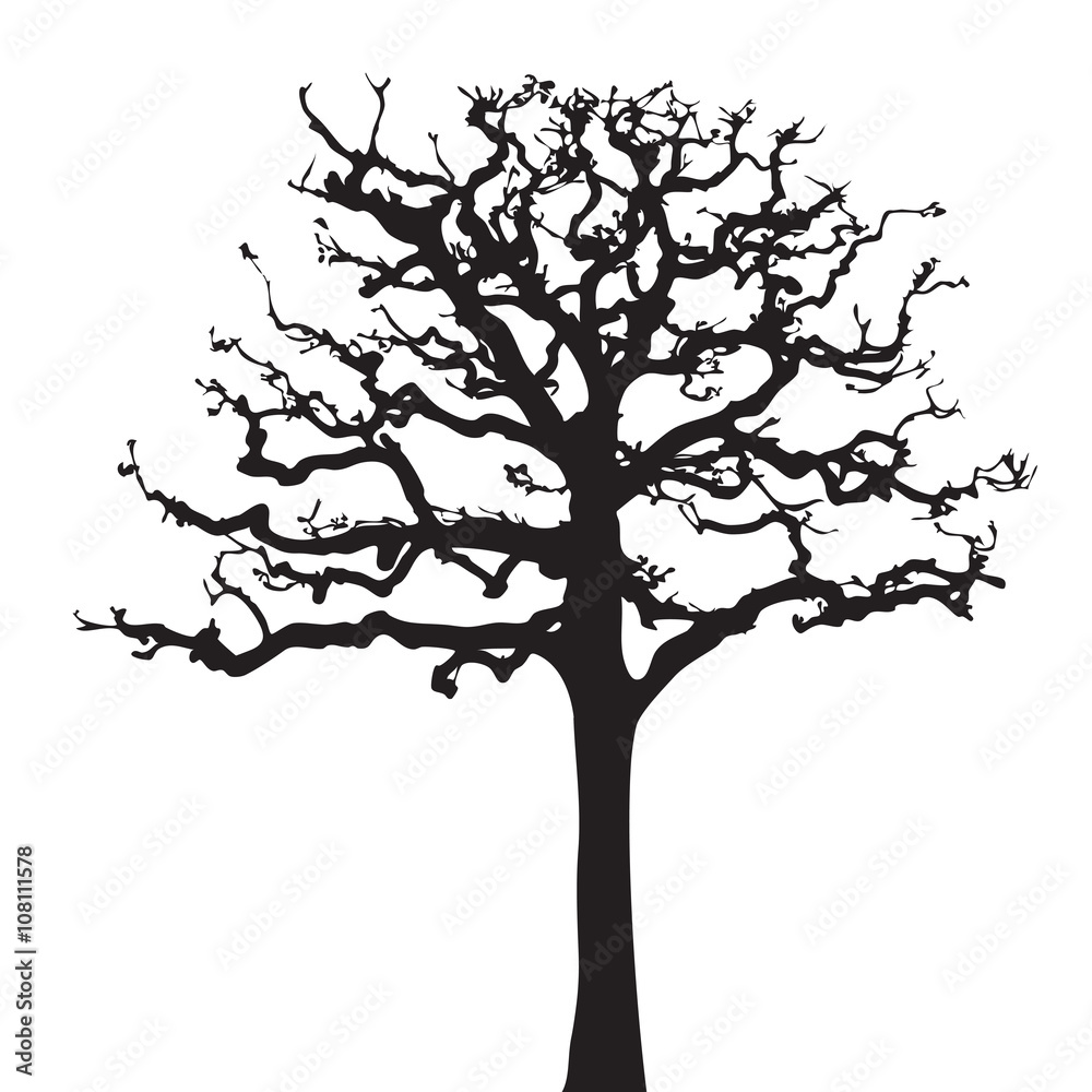 Obraz premium Tree twig silhouette vector