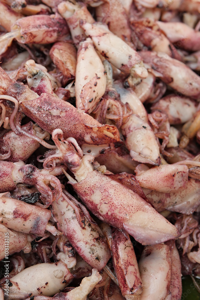 Naklejka premium squid