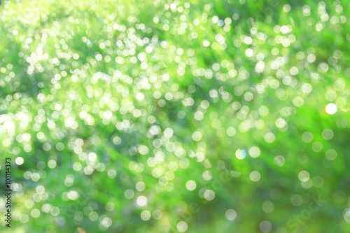 Blumenwiese bei Sonnenschein - Bokeh

