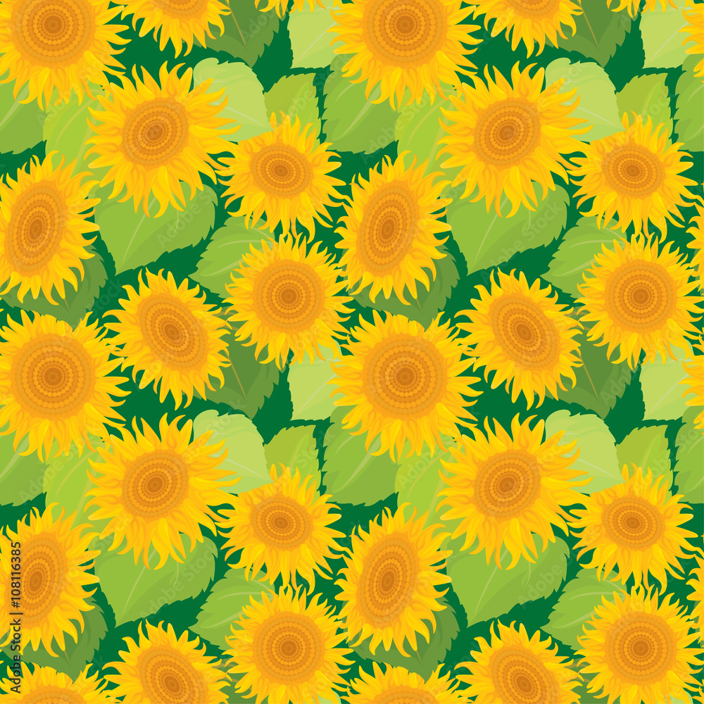 Seamless pattern with sunflowers. Summer season, nature backgrou Seamless pattern with sunflowers. Summer season, nature backgrou