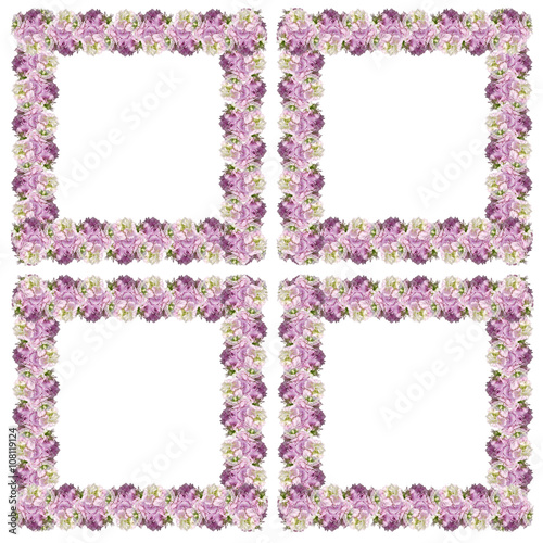 Fototapeta Naklejka Na Ścianę i Meble -  Delicate floral background. White and pink pelargoniums 