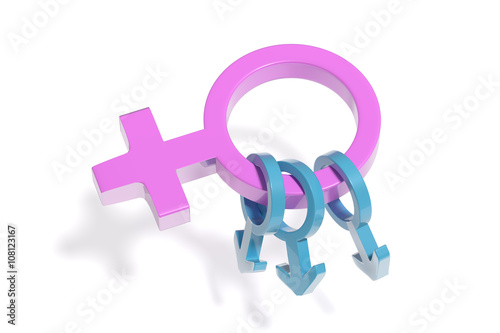 Concept of polygamy