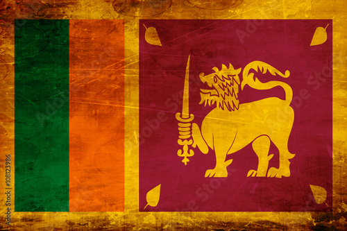 Sri lanka flag
