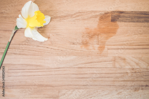 daffodil yellow blossom on a wood surface