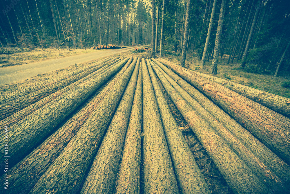 Pile of wood in the forest by the rural road, country landscape, Pile of wood in the forest by the rural road, country landscape,