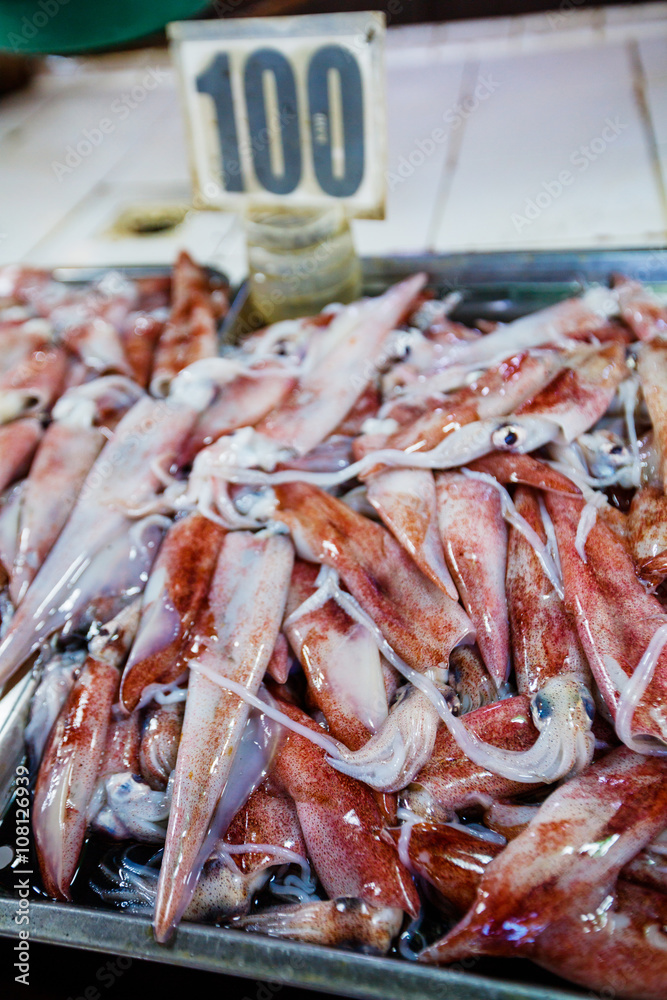 Fresh squid on the market