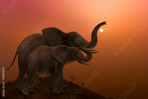 Elephants in Jungle at sunset