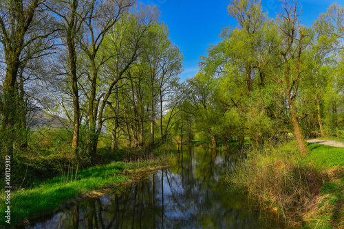 Fiume in mezzo al bosco