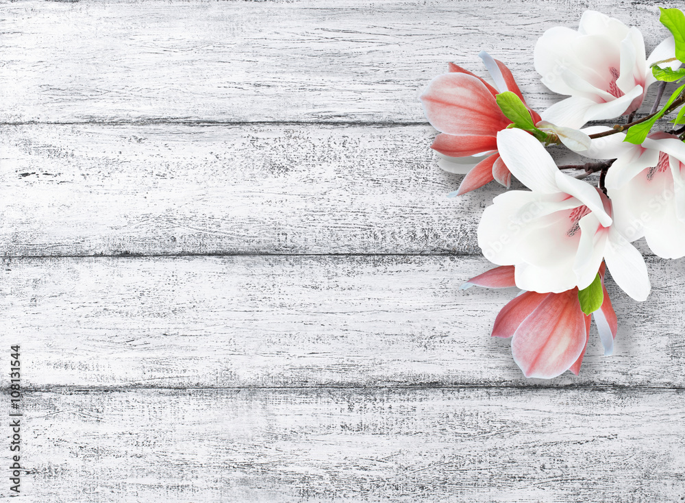 Obraz premium Magnolia flowers on background of shabby wooden planks