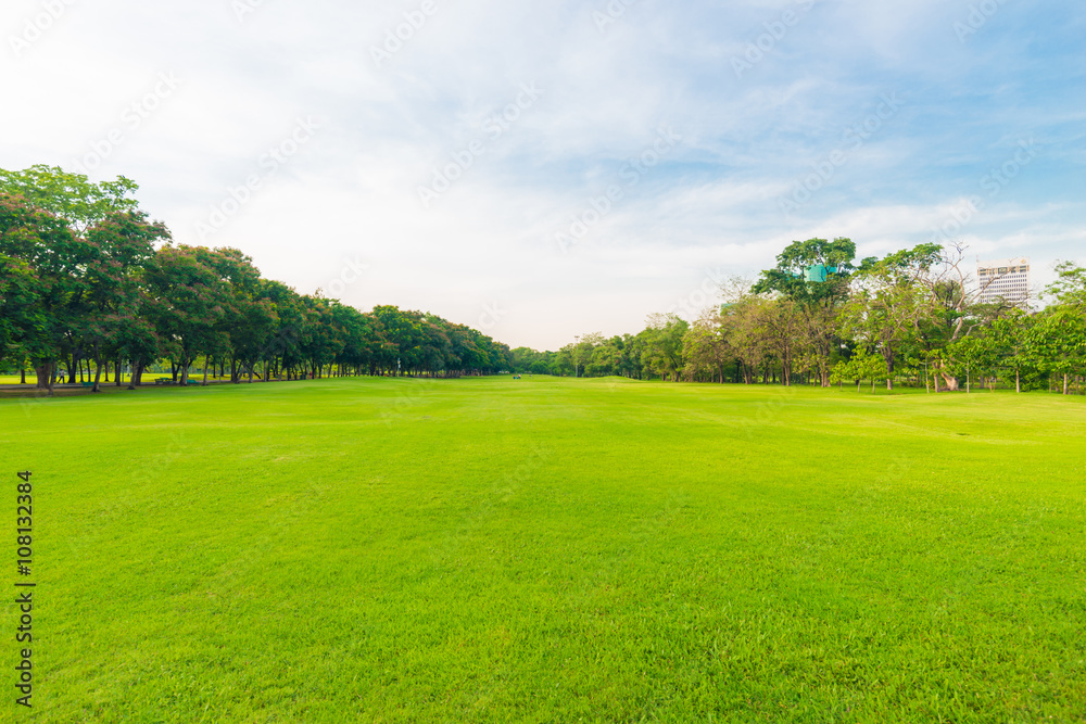 Fototapeta premium Zielony piękny park publiczny z zielonym polem trawy