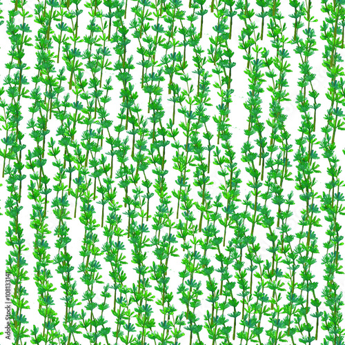 Watercolor seamless pattern with dandelion. Floral background. 